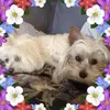 Lynne Bloom - @lynne.bloom - TikTok