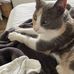 Lynne Bloom Deutsch - Facebook