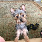 Lynne Bloomquist - @lynne.bloomquist - Instagram