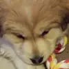 sarahlynnebloom - @sarahlynnebloom - TikTok