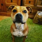 Lynn Bowen - @lynnbowen - Instagram