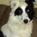 Lynne Bowen - Facebook