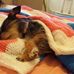 Lynne Boyer - Facebook