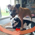 Lynne Breen - @breenybaby23 - Instagram