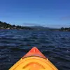 lynn.brower - @lynn.brower - TikTok