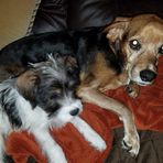 Lynne Burnham - Facebook