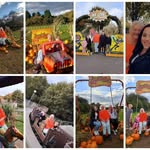 Lynn Butcher - @haysteadlynn - Instagram