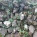 Lynne Cain - Facebook