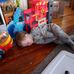 Lynne Carney - Facebook
