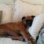 Lynne Carr - @lcarr257 - Instagram