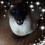 Lynne Carr - @lynnecarr62 - Instagram
