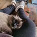 Lynne Carruthers - Facebook