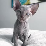 Lynne Carson - @lynnecarson65 - Instagram