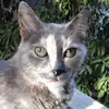 lynnecharles66 - @lynnecharles66 - TikTok