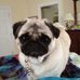 Lynne Vanderslice Chavez - Facebook