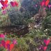 Lynne Cody - Facebook