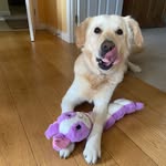 Lynne - @lynne.cody17 - Instagram