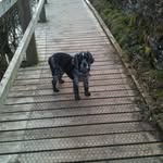 Lynne Comer - @comerl - Instagram