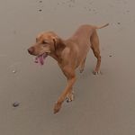 Lynne Cottrell - @paulclyn - Instagram