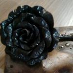 Lynne Cottrell - @lynnecottrell - Instagram