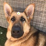 Lynne cox - @lynne.cox123 - Instagram
