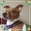 Lynne Cox - @lynne.cox - TikTok