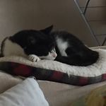 lynne cox - @lynnecox1959 - Instagram
