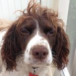 Lynne Cox - @lynnecox6490 - Instagram
