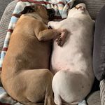 Lynne Coyle - @_lynne.c_ - Instagram