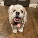 Lynn Cronin - @cronintx - Instagram