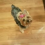 Lynne Cronin - @lynnecronin50 - Instagram