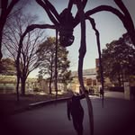 Lynne Crossan - @lynnecrossan - Instagram