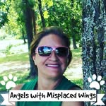 Lynn crowder - @lynncrowder7513 - Instagram