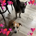 Lynne Ann - @lynne.daly - Instagram