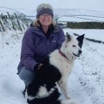 Lynne Daly - @lynne.daly.182 - Instagram