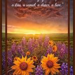 Cathie Daugherty - @cathielynnedaugherty - Instagram