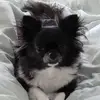 lynnettedaugherty - @lynnettedaugherty - TikTok