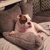 lynneday437 - @lynneday437 - TikTok