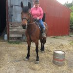 Lynne Dobson - @victorianacarriages - Instagram