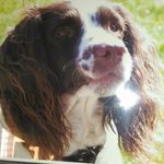 Lynne Dobson - @dobson1648 - Instagram