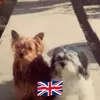 lynnedobson356 - @lynnedobson356 - TikTok