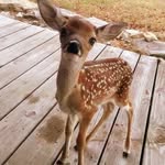 Lynn Duke - @lynn_duke_ - Instagram
