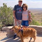 Lynne Dyer - @lynnedyer5557 - Instagram