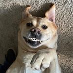 Lynne Dyer Jones - @lynnedyer4 - Instagram