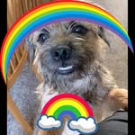 Lynne Evans - @lynne.evans.7564 - Instagram