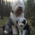 Lynne Evans - @lilli_bee_and_me - Instagram