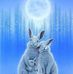 Lynne Evans - Facebook