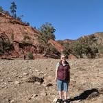 Lynne Evans - @lynne60054 - Instagram