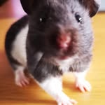 Lynne Evans - @lynneevans47 - Instagram