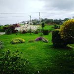 Lynne Evans - @lynne.evans40 - Instagram